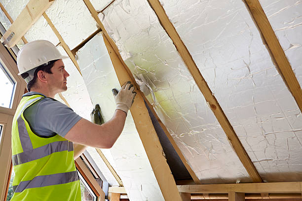 Insulation Repair Services in Brooklet, GA